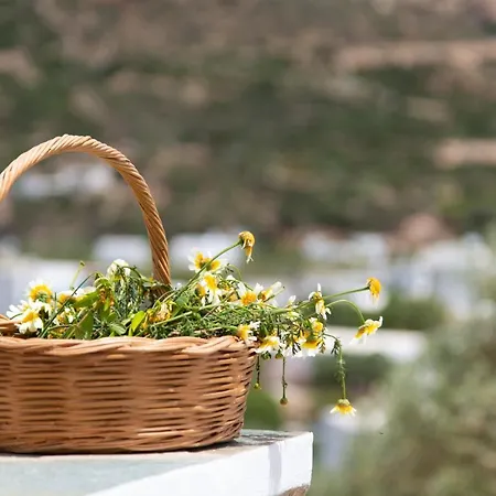 Thimari * Vathi (Sifnos)