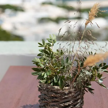 Appartamento Thimari