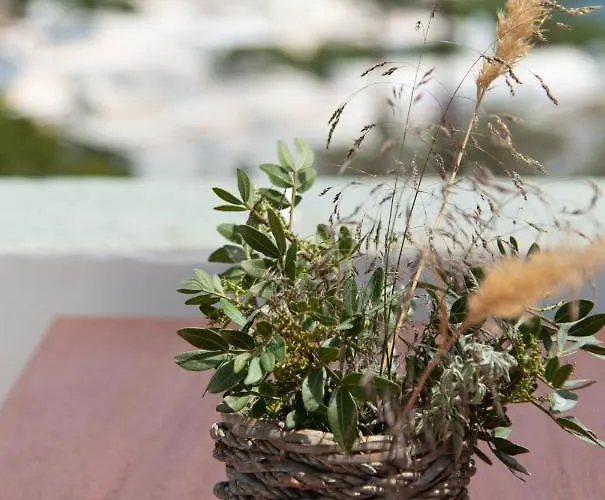 Апартаменты Thimari