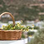 Thimari * Vathi (Sifnos)