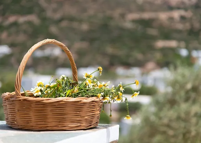 Thimari * Vathi (Sifnos)